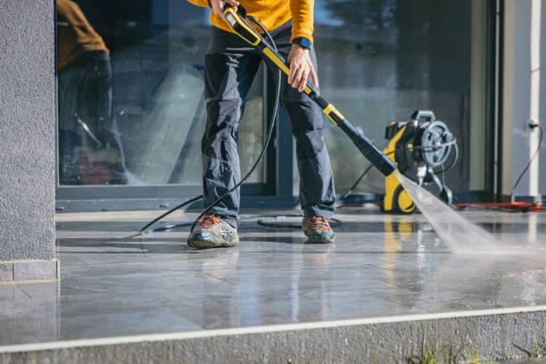 Best Roof Washing  in St Francis, MN